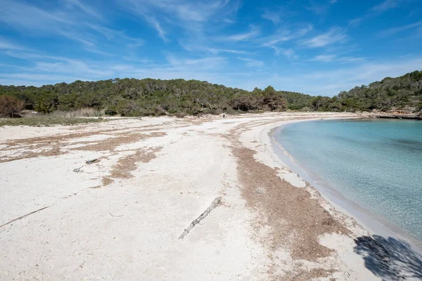 Amarador Mondrago Doğal Parkı Santany Belediye Alanı Mallorca Balearic Adaları — Stok fotoğraf