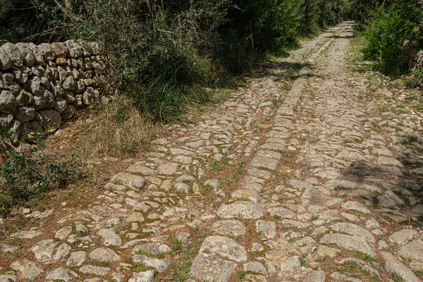 Camino Banyols Alar Mallorca Balearic Islands Spain — 스톡 사진