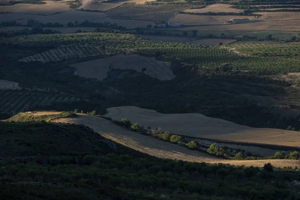 Campos Agrícolas Perto Loarre Huesca Espanha — Fotografia de Stock