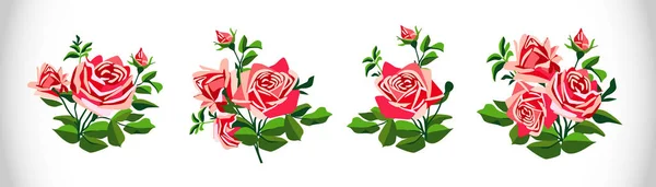 Set Rosas Imágenes Coloreadas Rosas Burgeon Florecen Sobre Fondo Blanco — Vector de stock