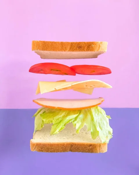 Levitated Sandwich Brood Sla Ham Kaas Tomaat Roze Violette Achtergrond — Stockfoto