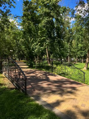 Parkta yeşil ağaçlar ve yeşil çimenler olan bir köprü.