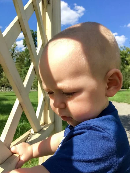 Kisgyermek Áll Mellett Egy Minta Kerítés Parkban — Stock Fotó