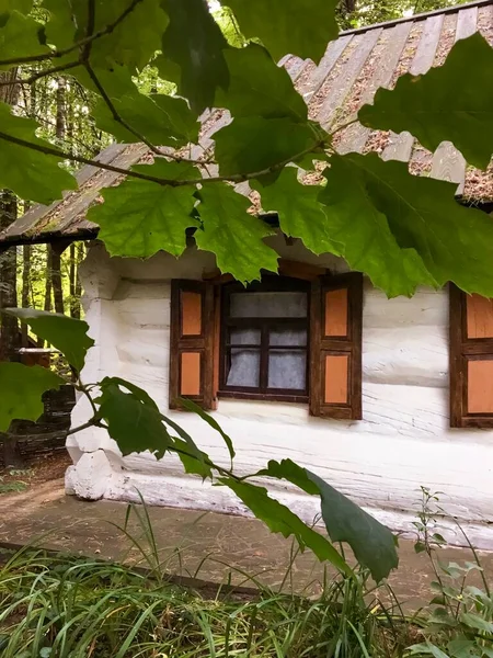 Antigua Casa Bosque Arquitectura Rural Estilo Tradicional Eslavo — Foto de Stock