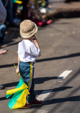 Aracatuba, Brezilya Eyaleti, Eylül 2019 - Brezilya bayrağının renklerine tapan Brezilyalılar - yeşil ve sarı.