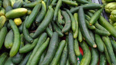 Muitos pepinos expostos na gondola do supermercado.