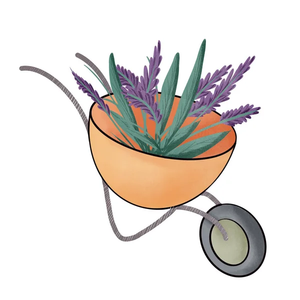 bağbozumu tarzında çiçekli bahçe el arabası.