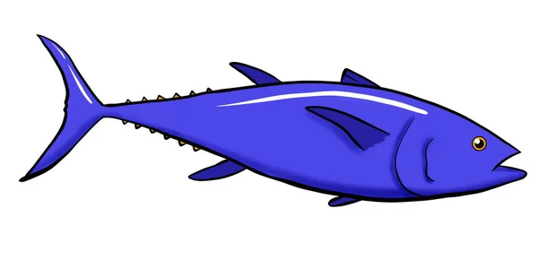 mavi balık ton balığı illüstrasyonu dijital