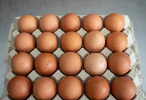 Yumurta kutusunu kapat.