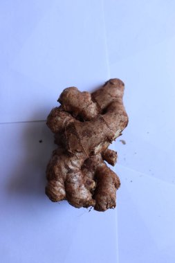 Beyaz arka planda taze zencefil, bitki tıbbi konsepti