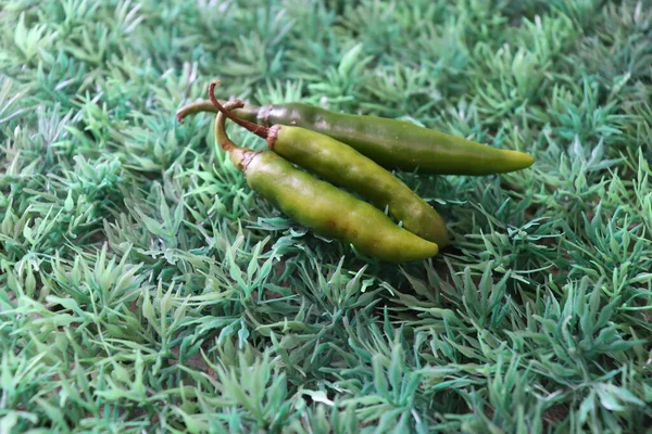 Fresh Chili Isolated Grass Background — Stock Photo, Image