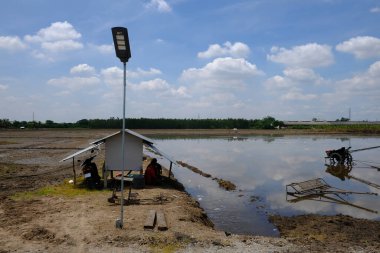 Parlak bulutlu gökyüzü ile pirinç tarlasının yanındaki çiftçi kulübesinde güneş ışığı direği
