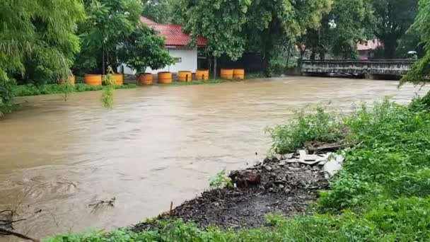 Phrae, Thailand 21 augustus 2020: Vuile rivier met modderig bruin water bijna onder water bij zware regenval — Stockvideo