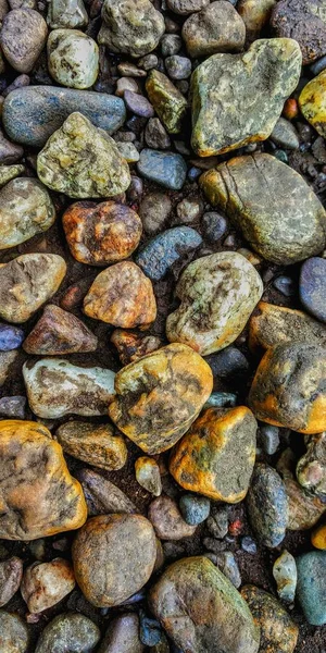 Colorful Pebbles Stones River Western Ghats Photo Can Used Your — Stock Photo, Image