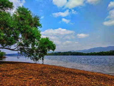 Arkasında dağlar ve ağaçlar olan bir nehir bankası..