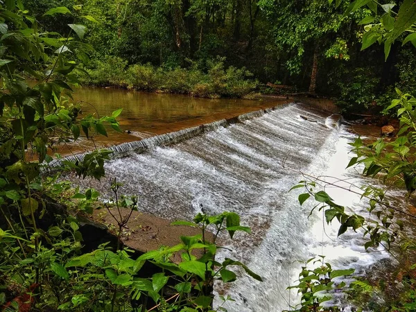 Una Cascada Pequeña Agua Limpia — Foto de Stock