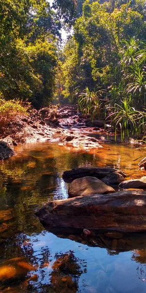 Este Camino Agua Bosque — Foto de Stock