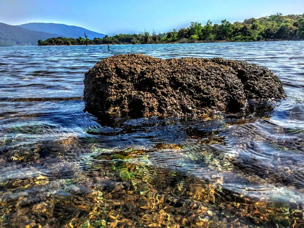 Una Grande Pietra Mezzo Fiume — Foto Stock