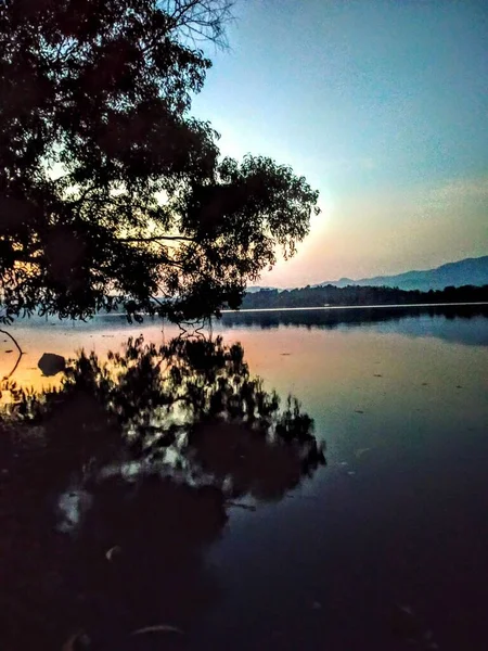 Spiegelung Des Baumes Auf Dem Flusswasser Mit Bergen Hintergrund — Stockfoto
