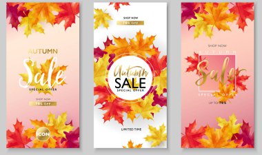 Sonbahar satış düzeni, pembe ve beyaz arka planda akçaağaç yaprakları ile dekore edilmiş satış promosyonu, poster, broşür, web afişi ve grafik kullanımı için. Vektör resimleme şablonu.