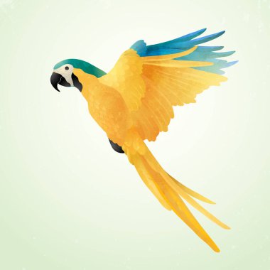 Flying blue and gold macaw isolated on light background. Vector illustration of Brazilian Ara. Watercolor on paper craft style. clipart