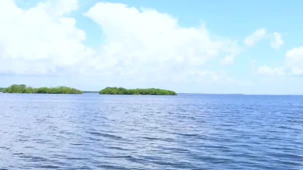 从国家比斯开恩公园的海岸俯瞰埃利奥特礁 它位于佛罗里达州的家园 被海洋包围的岛屿 被大片水域包围的土地 — 图库视频影像