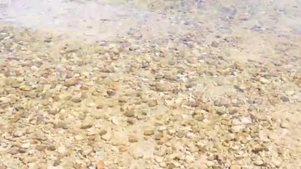 Stenstenar Ligger Vid Stranden South Biscayne Bay National Biscayne Park — Stockvideo