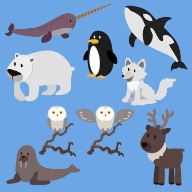 Kutup hayvanları düz vektör çizimi. Çizgi film hayvanları el yapımı paketler.