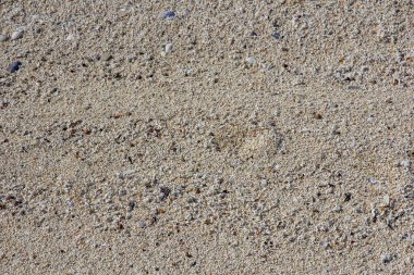 Norveç. Lofoten Adaları. Deniz sahil üzerinde