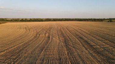Ukrayna 'da günbatımı alanı
