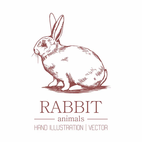 Conejo Sobre Fondo Aislado Ilustración Mano Conejo Está Hecho Por — Vector de stock