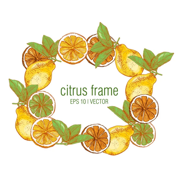 Frame Van Citrusvruchten Een Geïsoleerde Achtergrond Citroen Limoen Sinaasappel Een — Stockvector