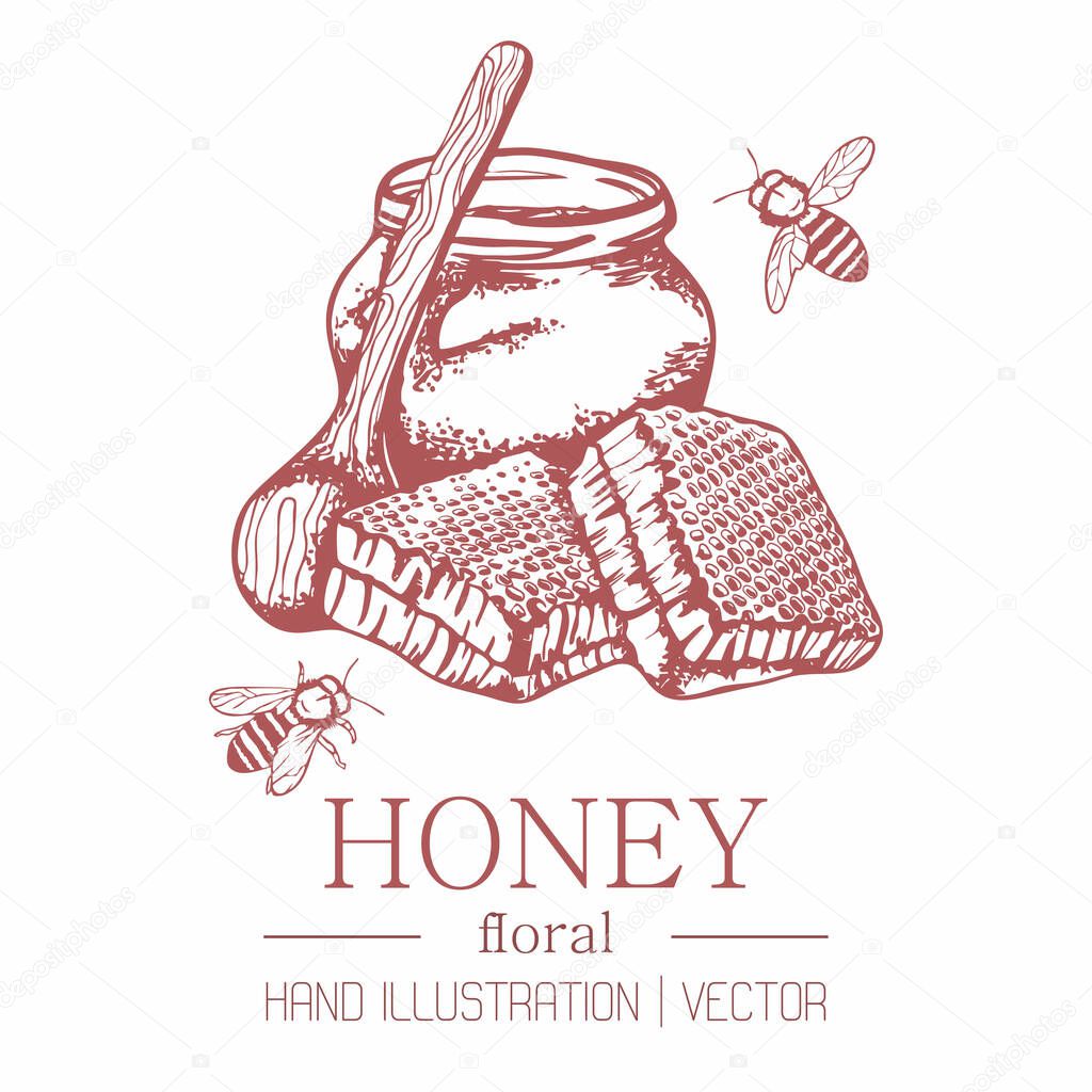 Honey with honeycombs and bees isolated background. The concept of packaging honey, medicinal, herbs. Sweet .Hand drawing. Honey on herbs. Vector.