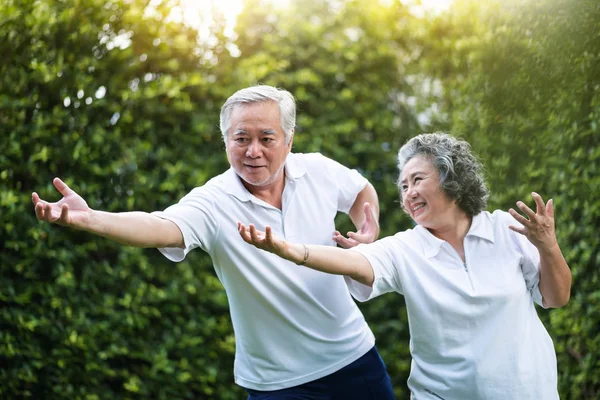 Asya çift Tai Chi parkta birlikte pratik. Sağlıklı, egzersiz ve gevşeme kavramları. Çince veya Tay dili veya Japonca insanlar gülümsüyor.