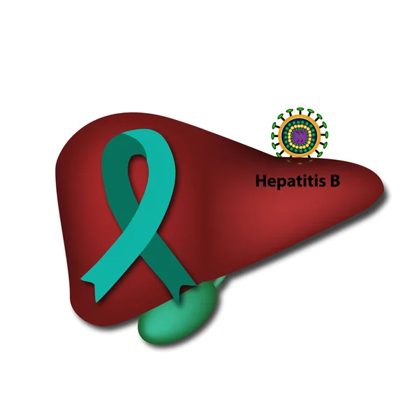 Cinta de jade en el hígado. Virus de la hepatitis B. Día Mundial de la Hepatitis. Ilustración vectorial sobre fondo aislado . — Vector de stock