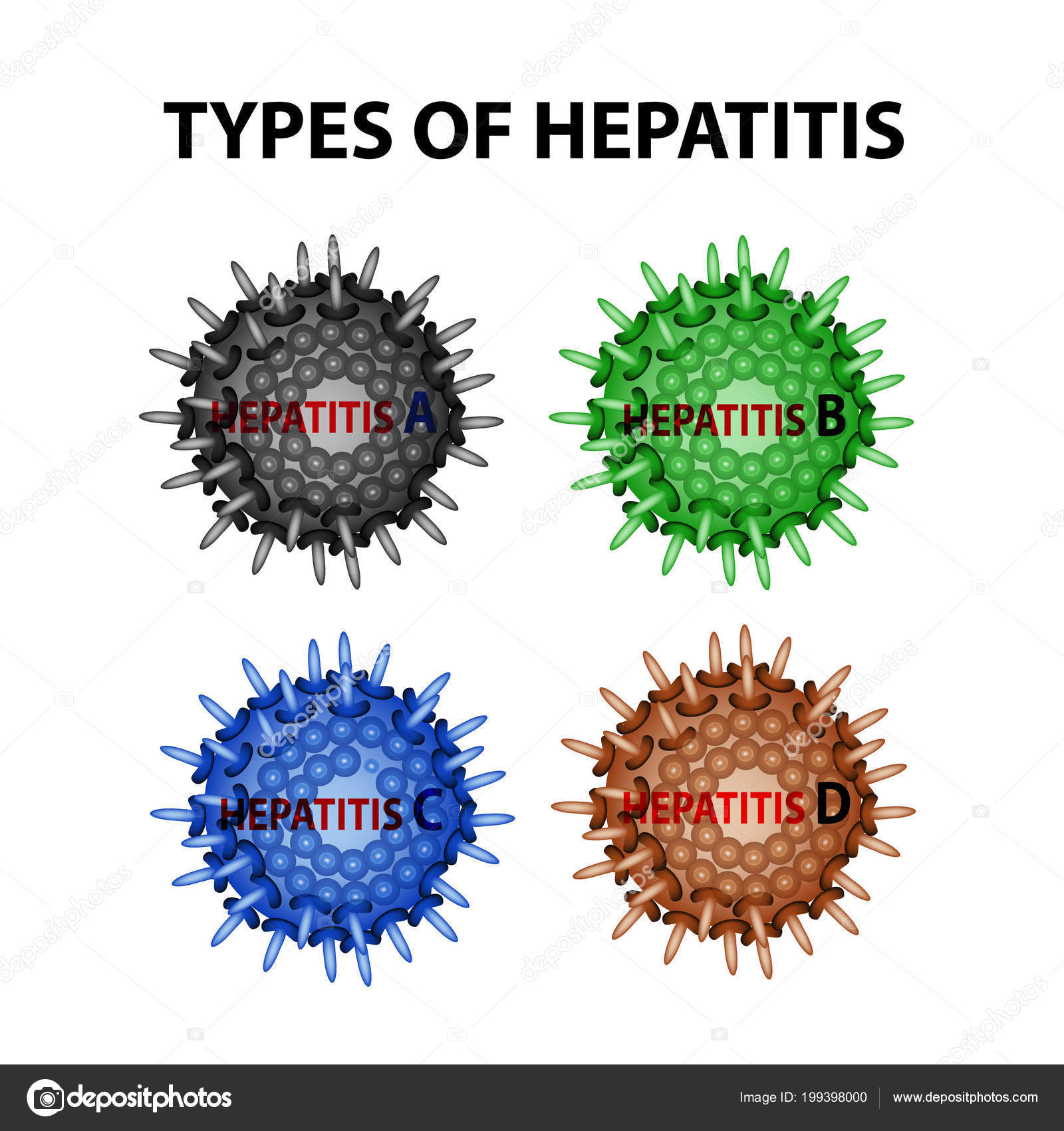 Arten von Hepatitis. Viren Hepatitis a, b, c, d ...