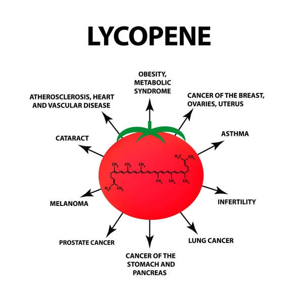 Il licopene cura la malattia. Il pomodoro è utile. Illustrazione vettoriale su sfondo isolato . — Vettoriale Stock