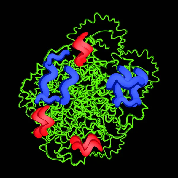 胰蛋白酶分子化学配方。胰腺的酶。图表.黑色背景上的矢量插图 — 图库矢量图片