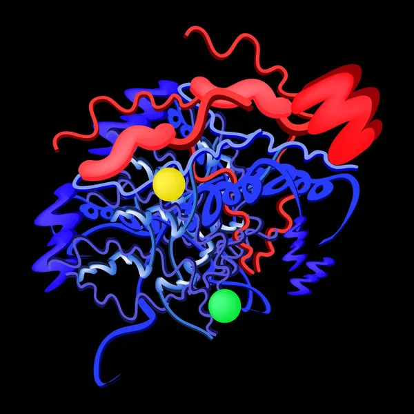 アミラーゼはある分子の化学式です。膵臓の酵素。インフォ グラフィック。黒の背景のベクトル図. — ストックベクタ