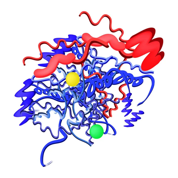 Amylase ist eine molekularchemische Formel. Enzym der Bauchspeicheldrüse. Infografiken. Vektor-Illustration auf isoliertem Hintergrund — Stockvektor