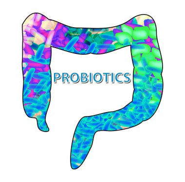 Good bacteria flora in the colon. Probiotic, prebiotic, synbiotic, lactobacillus, bifidobacterium. Infographics. Vector illustration on isolated background clipart