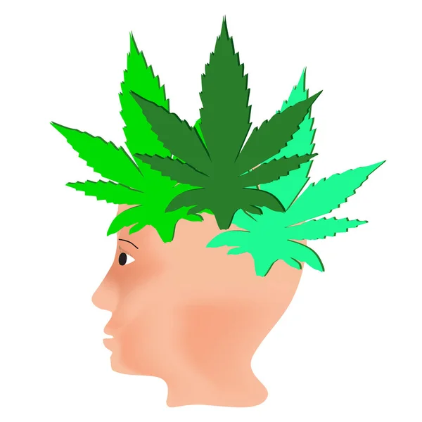 Effekten Hampa Människor Cannabinoid Behandling Egenskaper Marijuana Logotypen Hår Från — Stock vektor