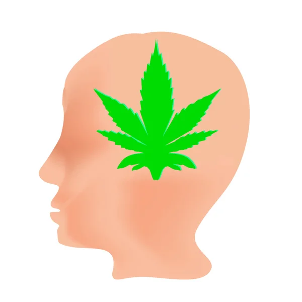 Effect Hemp Humans Cannabinoid Treatment Properties Marijuana Leaf Head Cannabis — Stock Vector