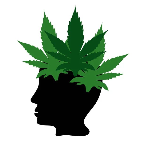 Effet Chanvre Sur Les Humains Traitement Aux Cannabinoïdes Propriétés Logo — Image vectorielle