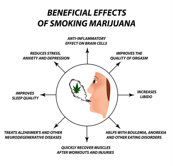 Propiedades Útiles Fumar Cannabis Tratamiento Del Cannabis Cannabinoide Cáñamo Hoja — Vector de stock