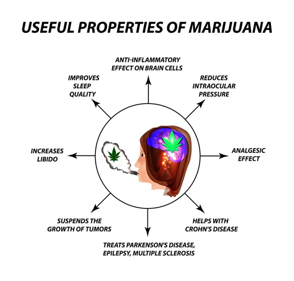 Propiedades útiles de fumar cannabis. Tratamiento del cannabis. Cannabinoide, cáñamo. Hoja de marihuana y cerebro humano. Infografías. Ilustración vectorial sobre fondo aislado . — Vector de stock