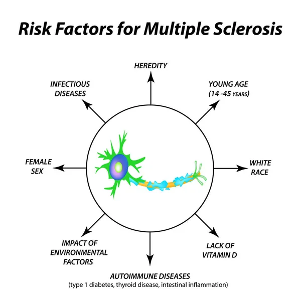 Kockázati tényezők a sclerosis multiplex. A myelin hüvely, axon a pusztulását. Sérült myelin. Sclerosis multiplex világnapja. Infographics. Elszigetelt háttér vektor illusztráció. — Stock Vector