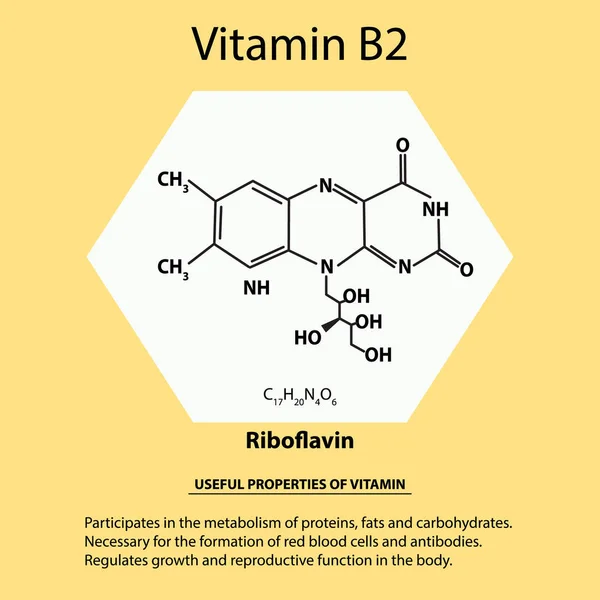 Vitamina B2. Riboflavina Fórmula química molecular. Propiedades útiles de la vitamina. Infografías. Ilustración vectorial sobre fondo aislado . — Vector de stock