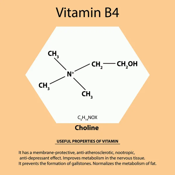 Witamina B4. Wzór chemiczny molekularnej choliny. Przydatne właściwości witaminy. Infografiki. Ilustracja wektorowa na na białym tle. — Wektor stockowy