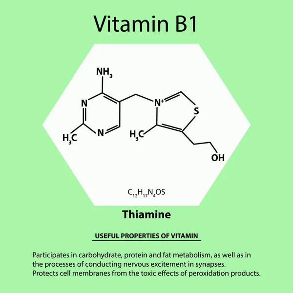 Vitamina B1. Tiamina Fórmula química molecular. Propiedades útiles de la vitamina. Infografías. Ilustración vectorial sobre fondo aislado . — Vector de stock